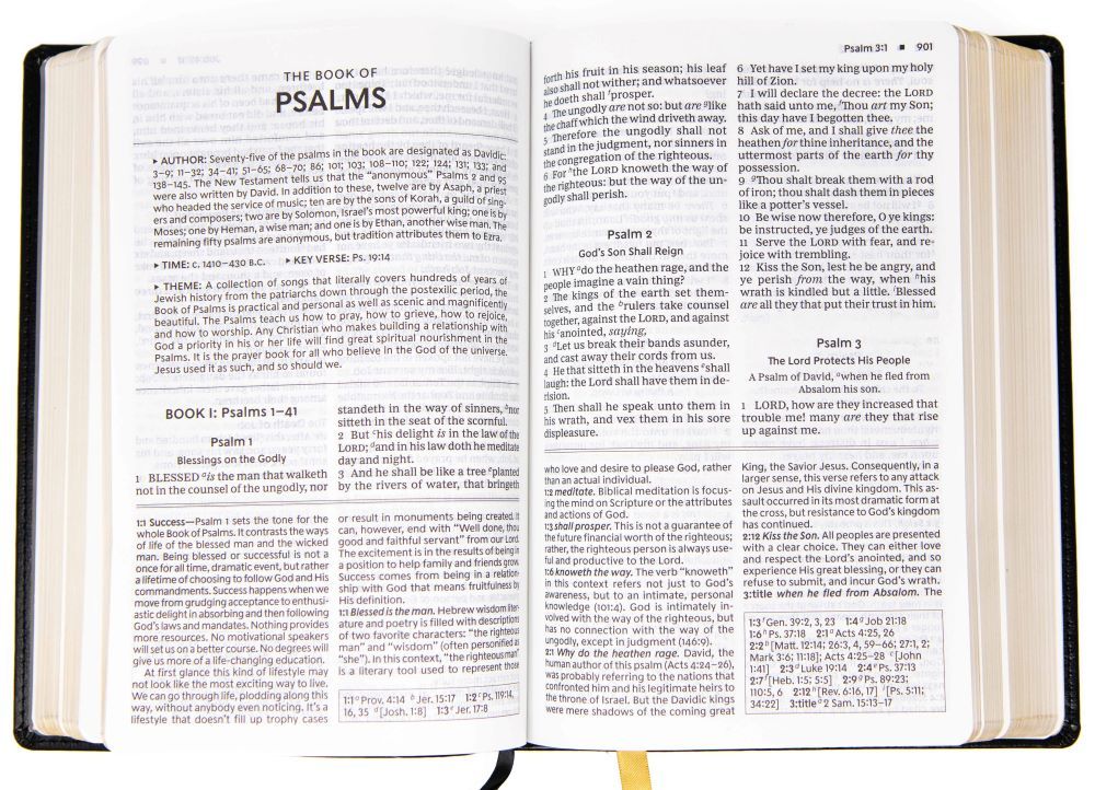 100-0015 Product Image 3