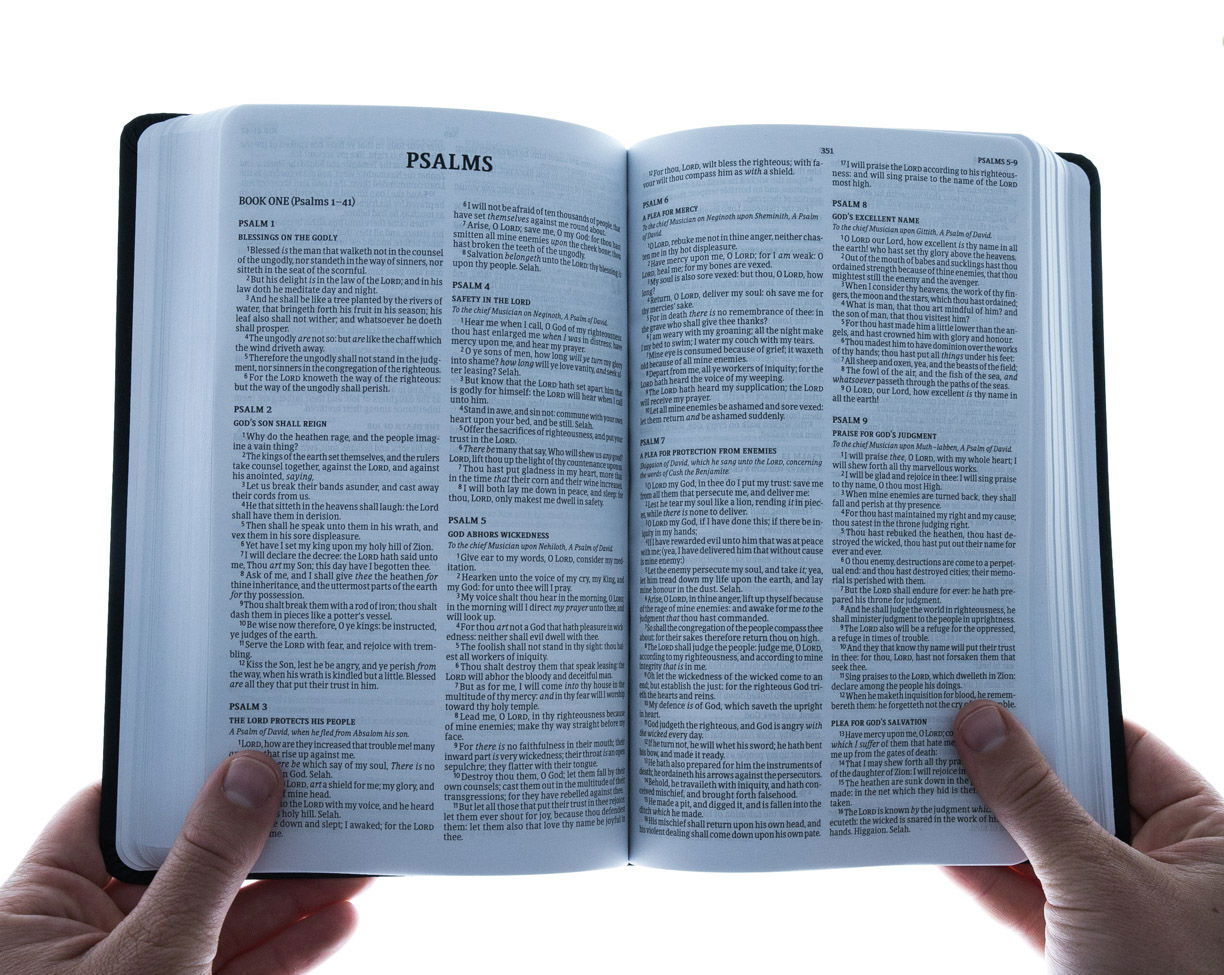 100-0017 Product Image 5