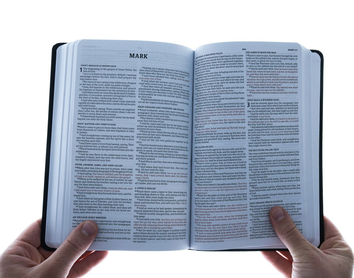 100-0017 Product Image 6