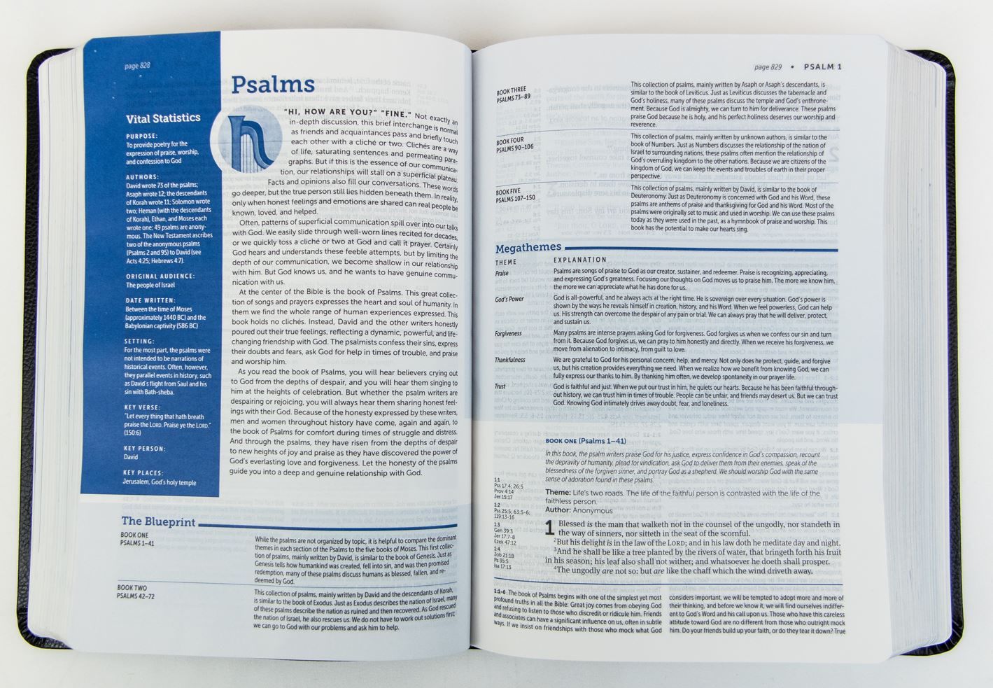 100-0085 Product Image 2