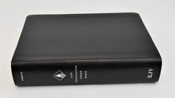 100-0085 Product Image 4