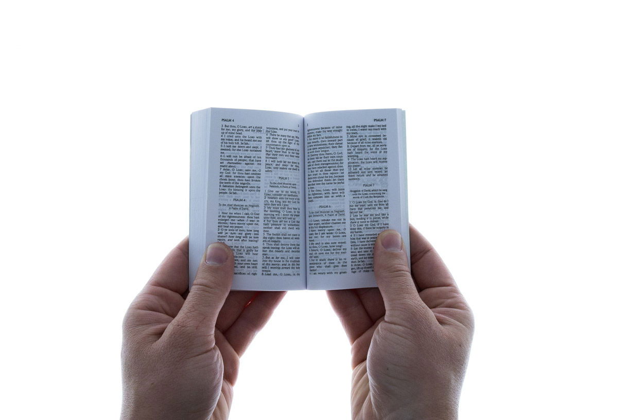 100-0105 Product Image 4