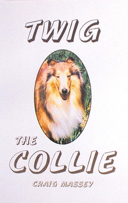 Image of Twig the Collie