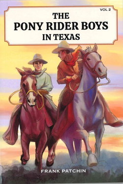 Image of The Pony Rider Boys in Texas #2