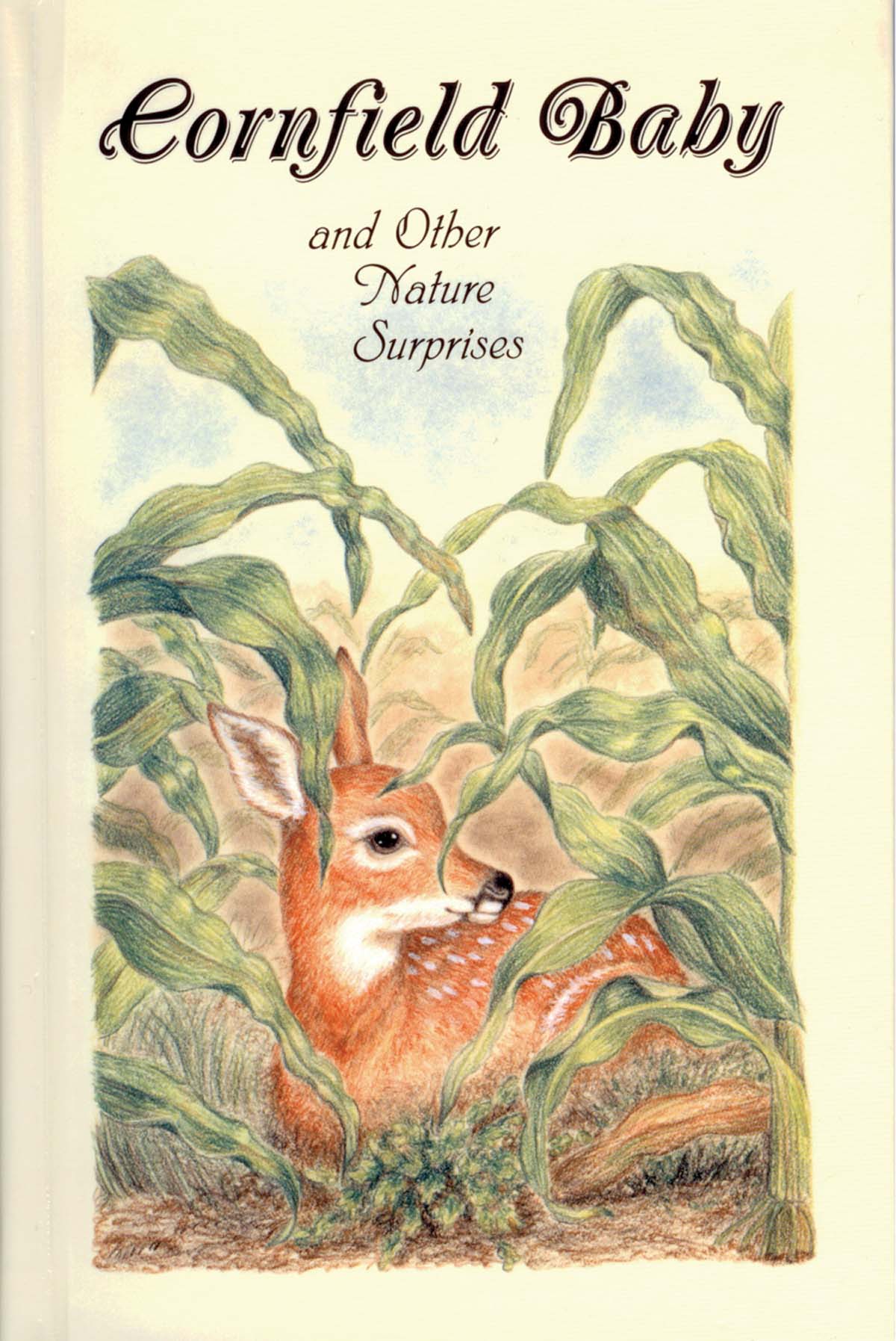 102-0262 Product Image 1