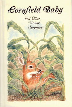 Image of Cornfield Baby and Other Nature Stories