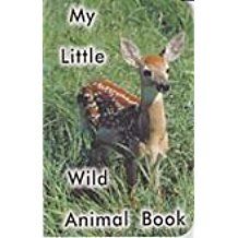 Image of My Little Wild Animal Book