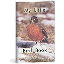 Image of My Little Bird Book