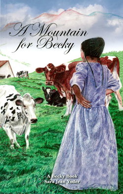 Image of A Mountain For Becky