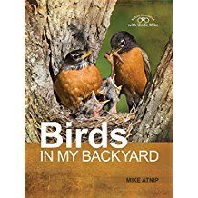 Image of Birds in My Backyard