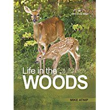 Image of Life in the Woods