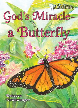Image of God’s Miracle -A Butterfly