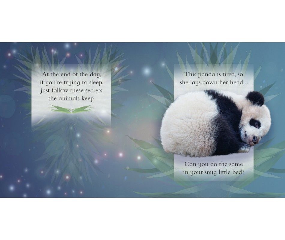 102-0919 Product Image 2