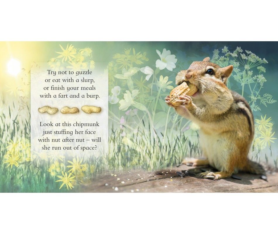 102-0920 Product Image 5