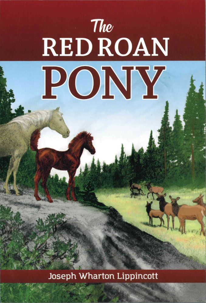 102-1214 Product Image 1