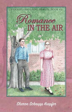 Image of Romance in the Air #2 Pennsylvania Girl Series