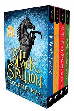 Image of Black Stallion Adventures: The Black Stallion Returns; The Black Stallion’s Ghos