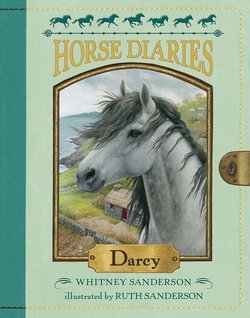 Image of Horse Diaries #10 Darcy