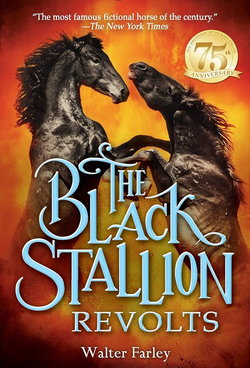 Image of The Black Stallion Revolts (Black Stallion)