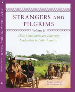 Image of Strangers and Pilgrims Vol.11