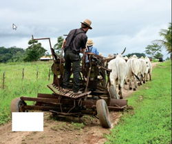 Image of Mennonites of Central America