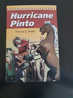 Image of Hurricane Pinto: The Story of an Outlaw Horse
