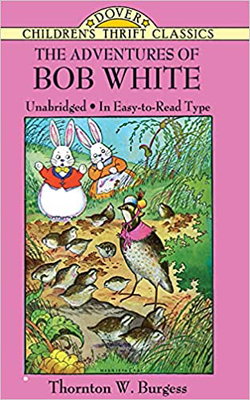 Image of The Adventures of Bob White -Dover Children’s Thrift Classics