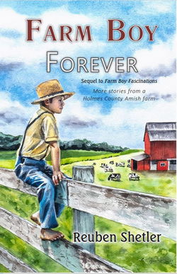 Image of Farm Boy Forever -Sequel to Farm Boy Fascinations