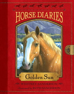 Image of Horse Diaries #5: Golden Sun
