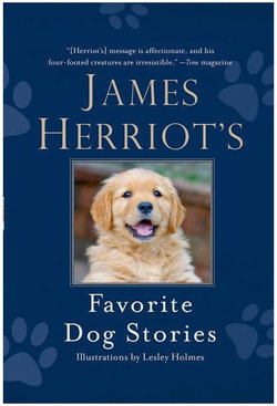Image of James Herriot’s Favorite Dog Stories