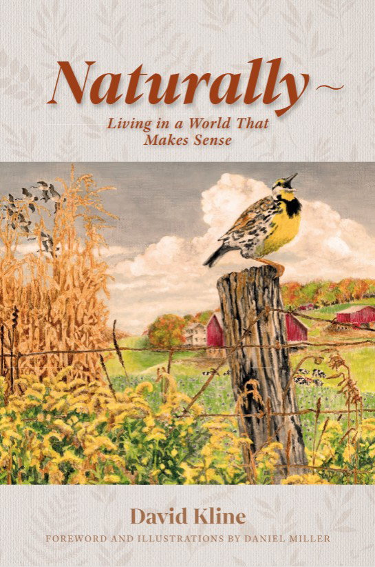 102-4371 Product Image 1