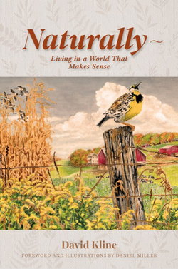 Image of Naturally: Living in a World That Makes Sense