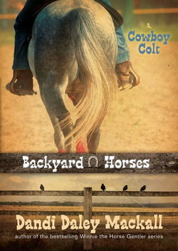 Image of Cowboy Colt -Backyard Horses #2
