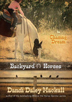 Image of Chasing Dream -Backyard Horses #3