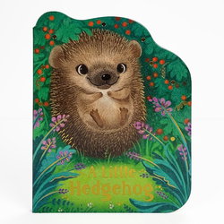 Image of A Little Hedgehog Board Book