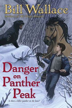 Image of Danger on Panther Peak
