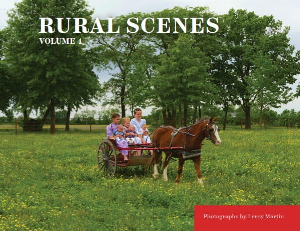 Rural Scenes #4