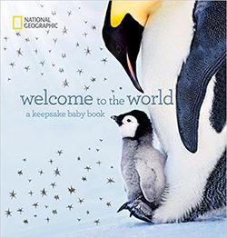 Image of Welcome to the World: A Keepsake Baby Book