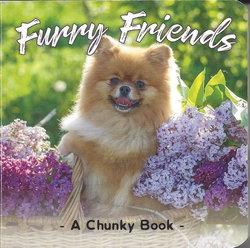 Image of Furry Friends Chunky Board Book -Discontined