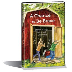 Image of A Chance to Be Brave -Stories of Boys Living and Learning