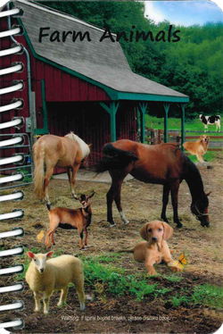 Image of Farm Animals