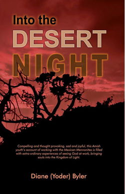 Image of Into the Desert Night