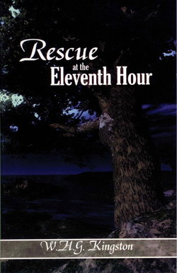 Image of Rescue at the Eleventh Hour -Reformation