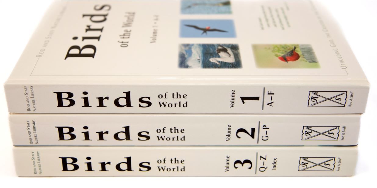 104-0458 Product Image 2