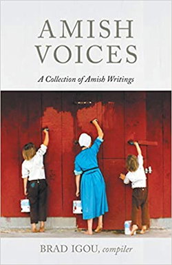 Image of Amish Voices: A Collection of Amish Writings
