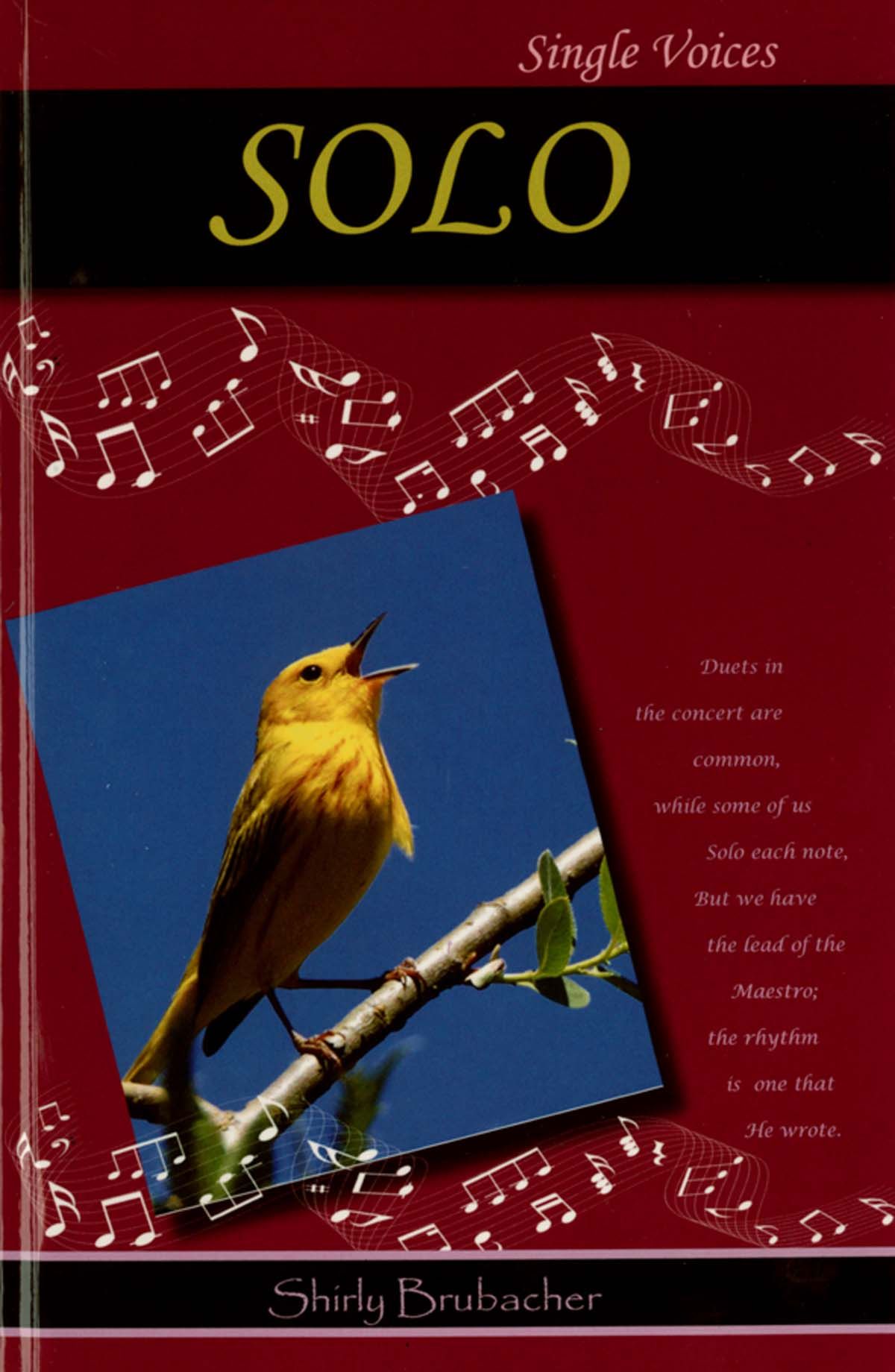 104-0767 Product Image 1