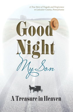 Image of Good Night, My Son: A Treasure in Heaven