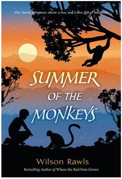 Image of Summer of the Monkeys