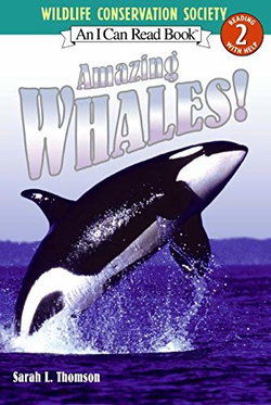Image of Amazing Whales! I Can Read Nonfiction – Level 2