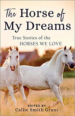 Image of The Horse of My Dreams: True Stories of the Horses We Love